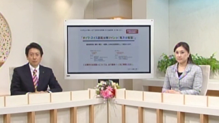 ダイワ スイス高配当株ツインa 毎月分配型